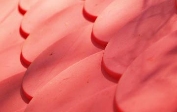 Thingley plastic roof costs