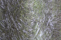 Thingley fibreglass roof work